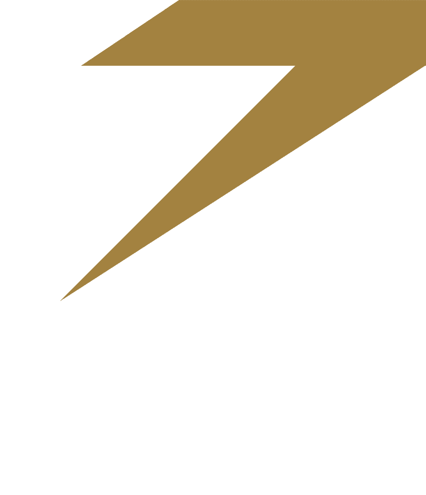 Zurnaci Invest Logo